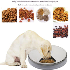 Pets Feeder Automatically Assign Intelligent Timing