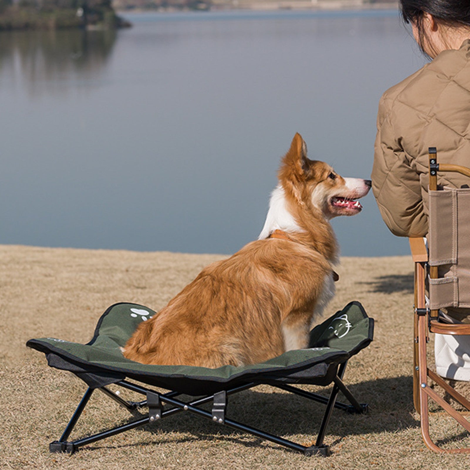 Outdoor detachable and washable pet folding bed