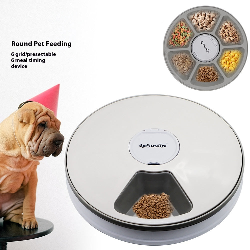 Pets Feeder Automatically Assign Intelligent Timing